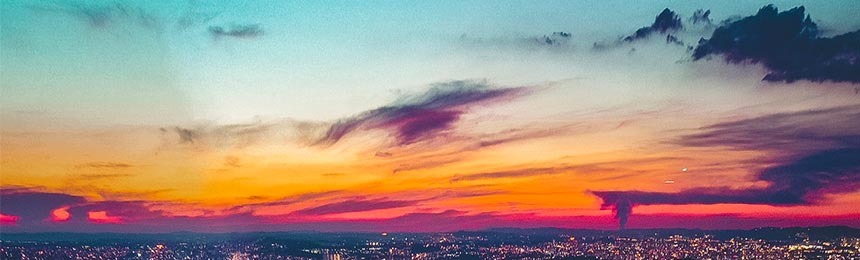 茌平茶虫网_茌平品茶